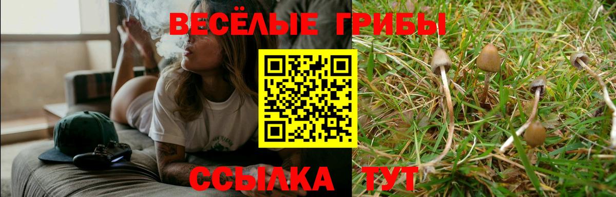 Галлюциногенные грибы GOLDEN TEACHER Гагарин