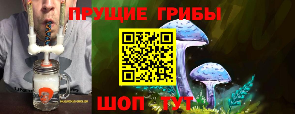 Гагарин  Псилоцибиновые грибы Psilocybine cubensis  Вход с VPN 